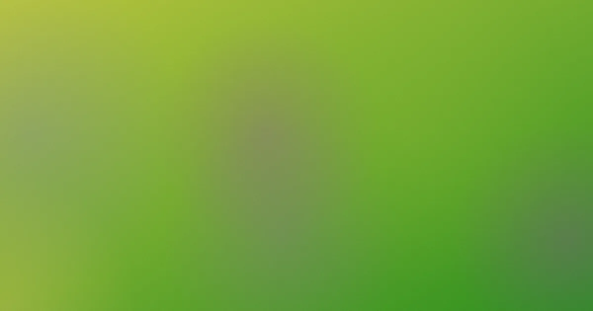 明月照尖东怎么用